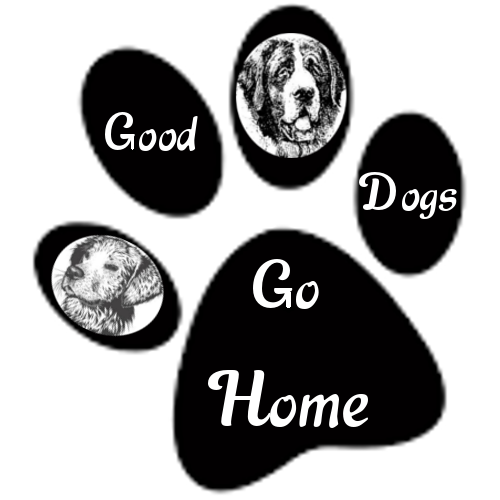 Good Dogs Go Home